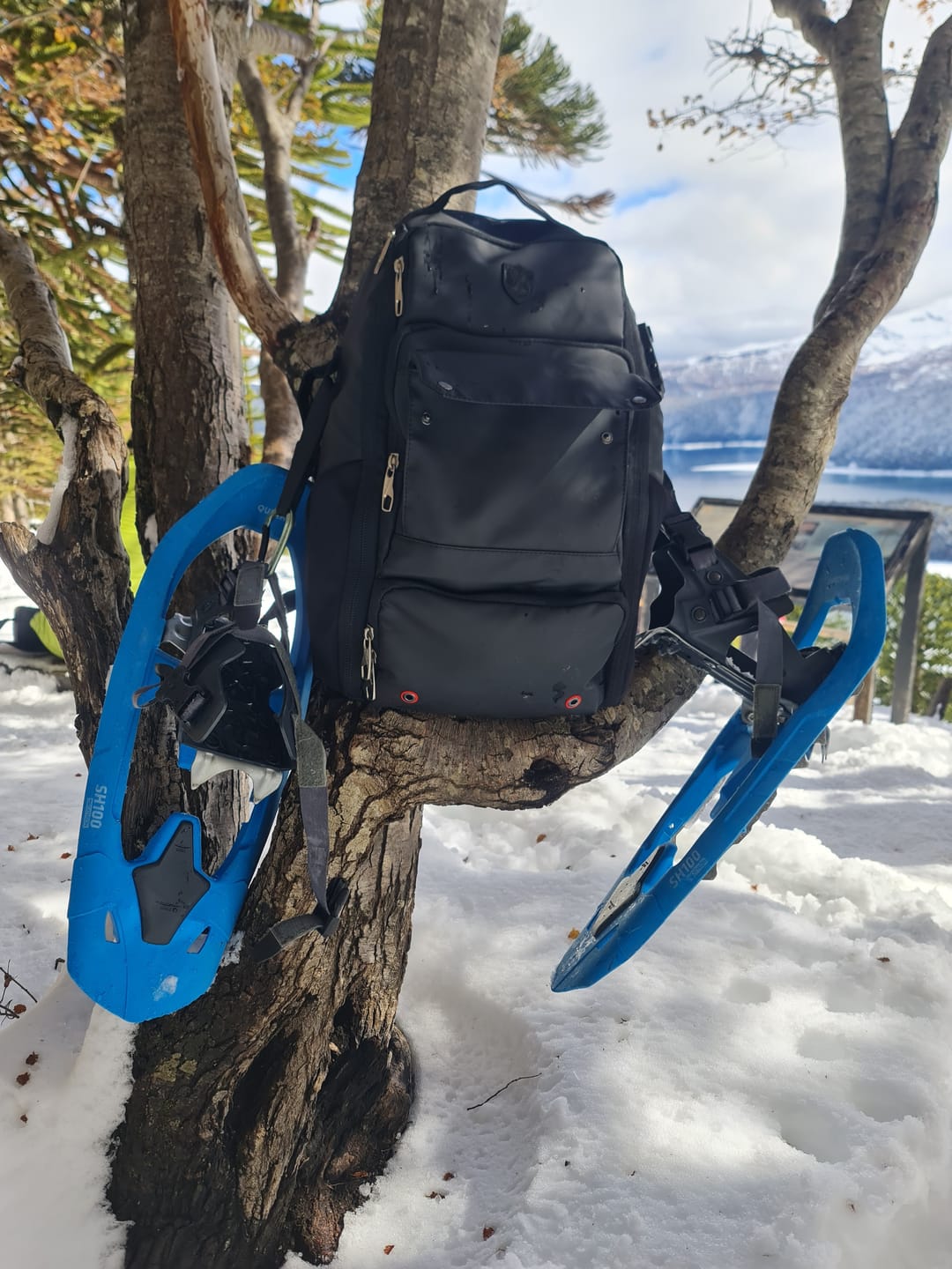 Customer photo review of Professional Photography Backpack