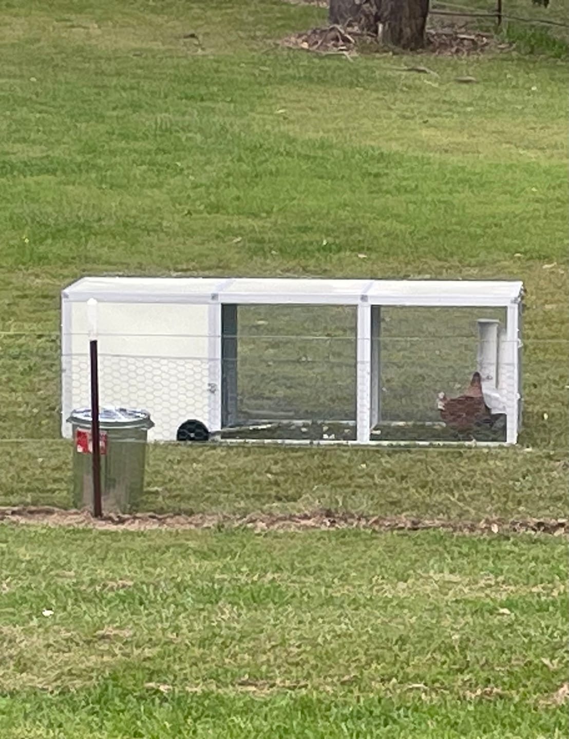 Customer photo review of Galvanised Mesh Floor for Chicken Coop