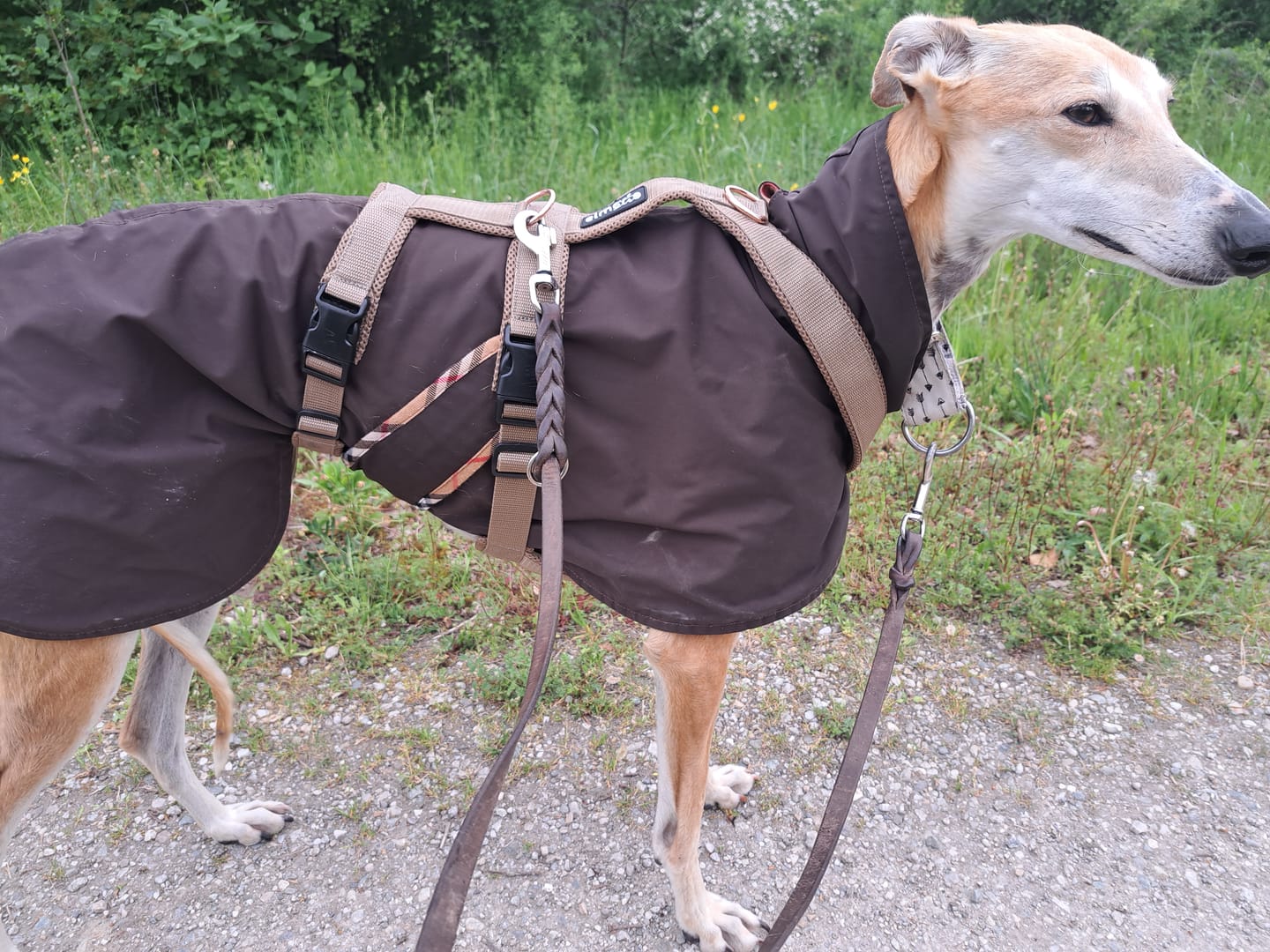 Customer photo review of Sicherheitsgeschirr FUN "Golden Sand"