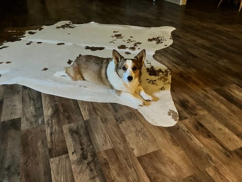 Customer photo review of 3in1  Staubsauger Fellbürste