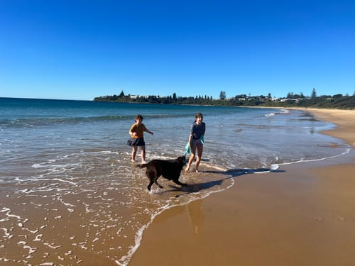 Customer photo review of Car Seat Towel CHARCOAL GREY