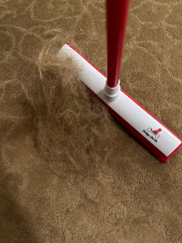 Customer photo review of IndigoPet Hair Removal Broom