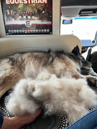 Customer photo review of 3in1  Staubsauger Fellbürste