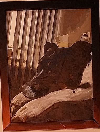 Customer photo review of Malowanie po numerach Własne zdjęcie