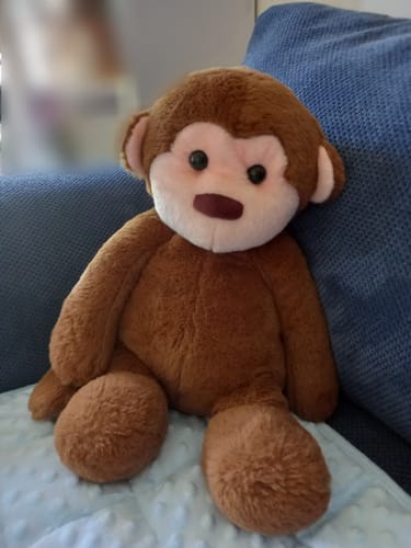 Customer photo review of Large Weighted Monkey Plush 2kg