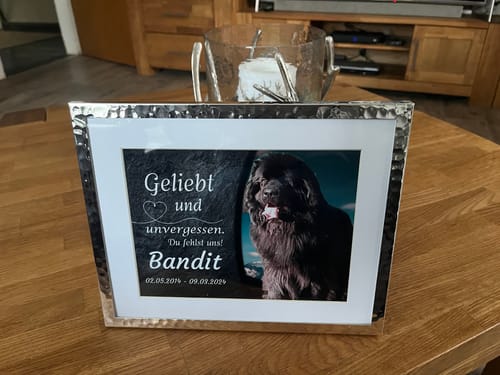 Customer photo review of Hunde Gedenktafel mit Foto & Spruch (UV- & Wetterfest)