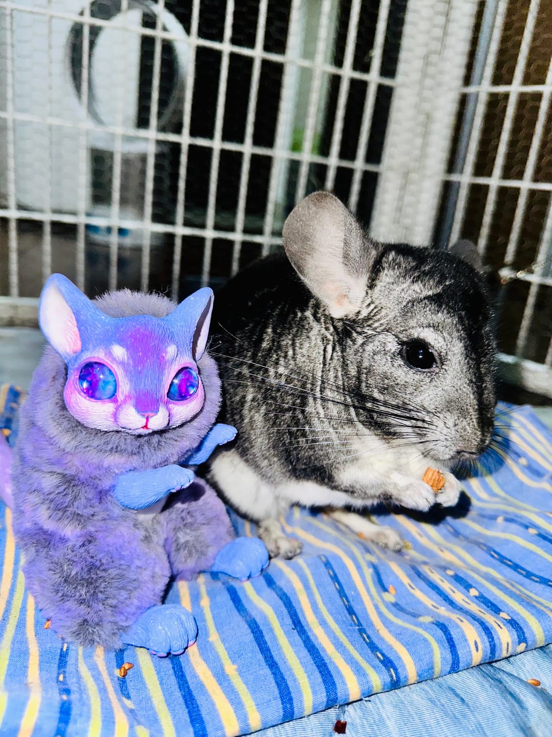 Customer photo review of Customize your creature!
