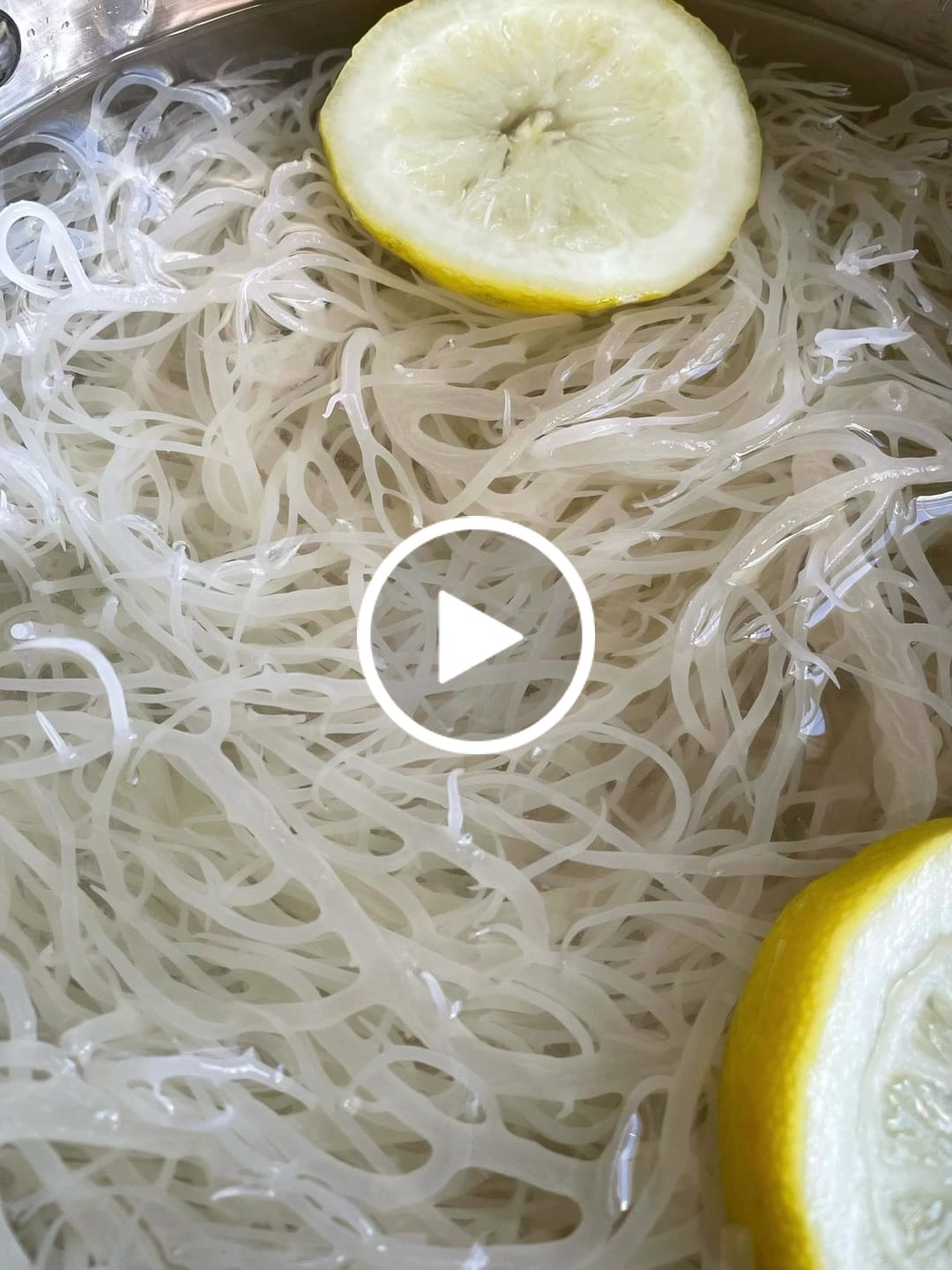 Customer video review of St Lucia Wildcrafted Sea moss