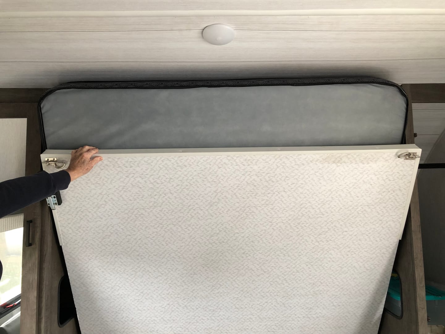Customer photo review of Shipping Protection