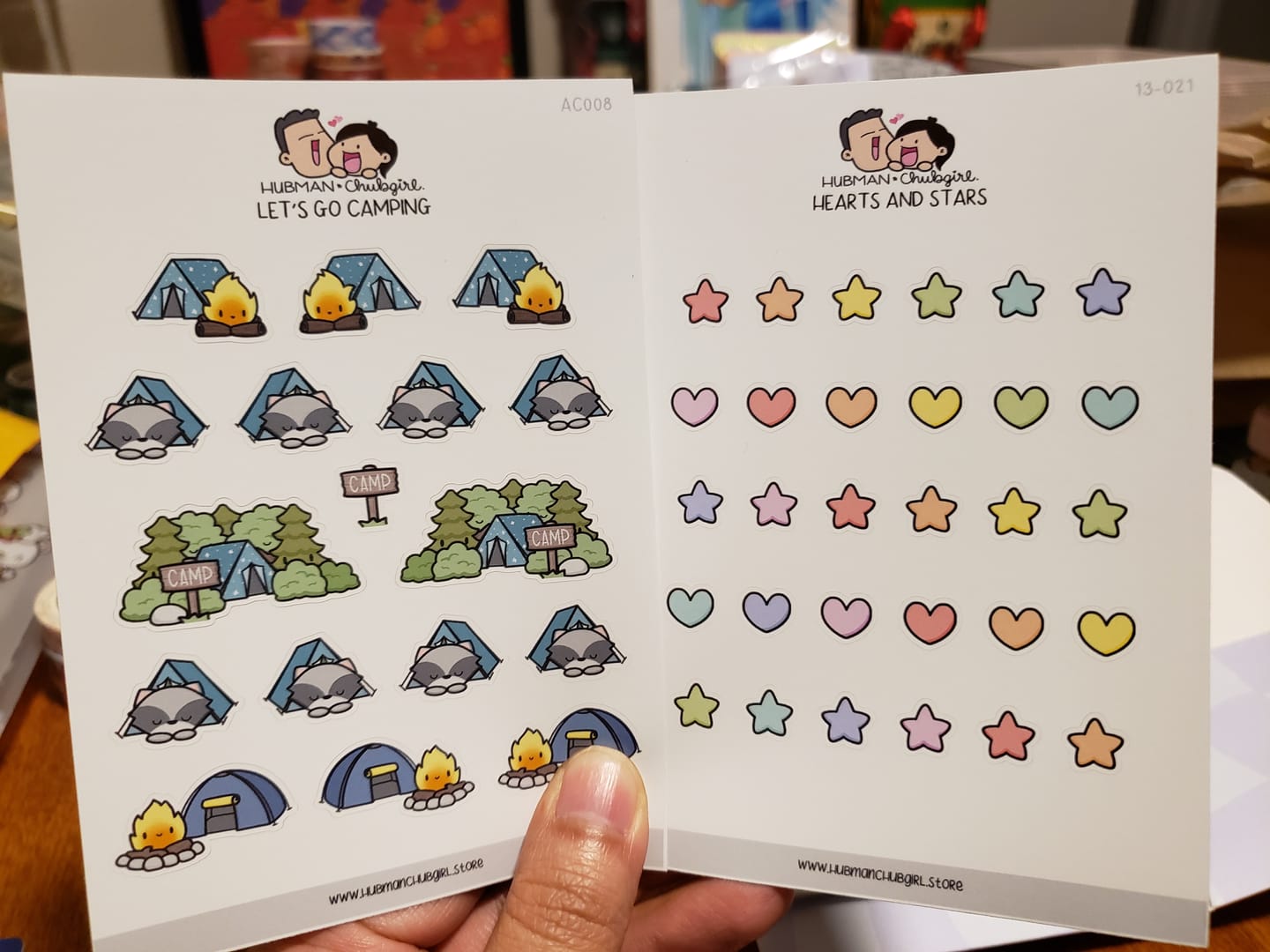 Customer photo review of Hearts and Stars Planner Stickers