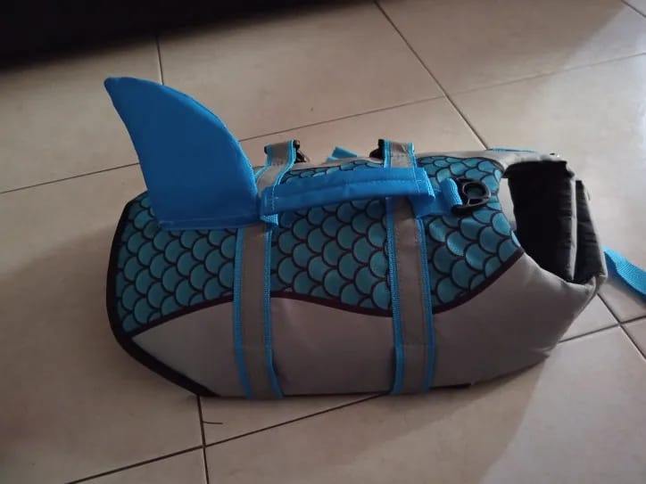 Customer photo review of Dog Shark Life Jacket Vest