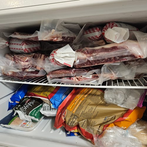 Customer photo review of Quarter Cow (Deposit)