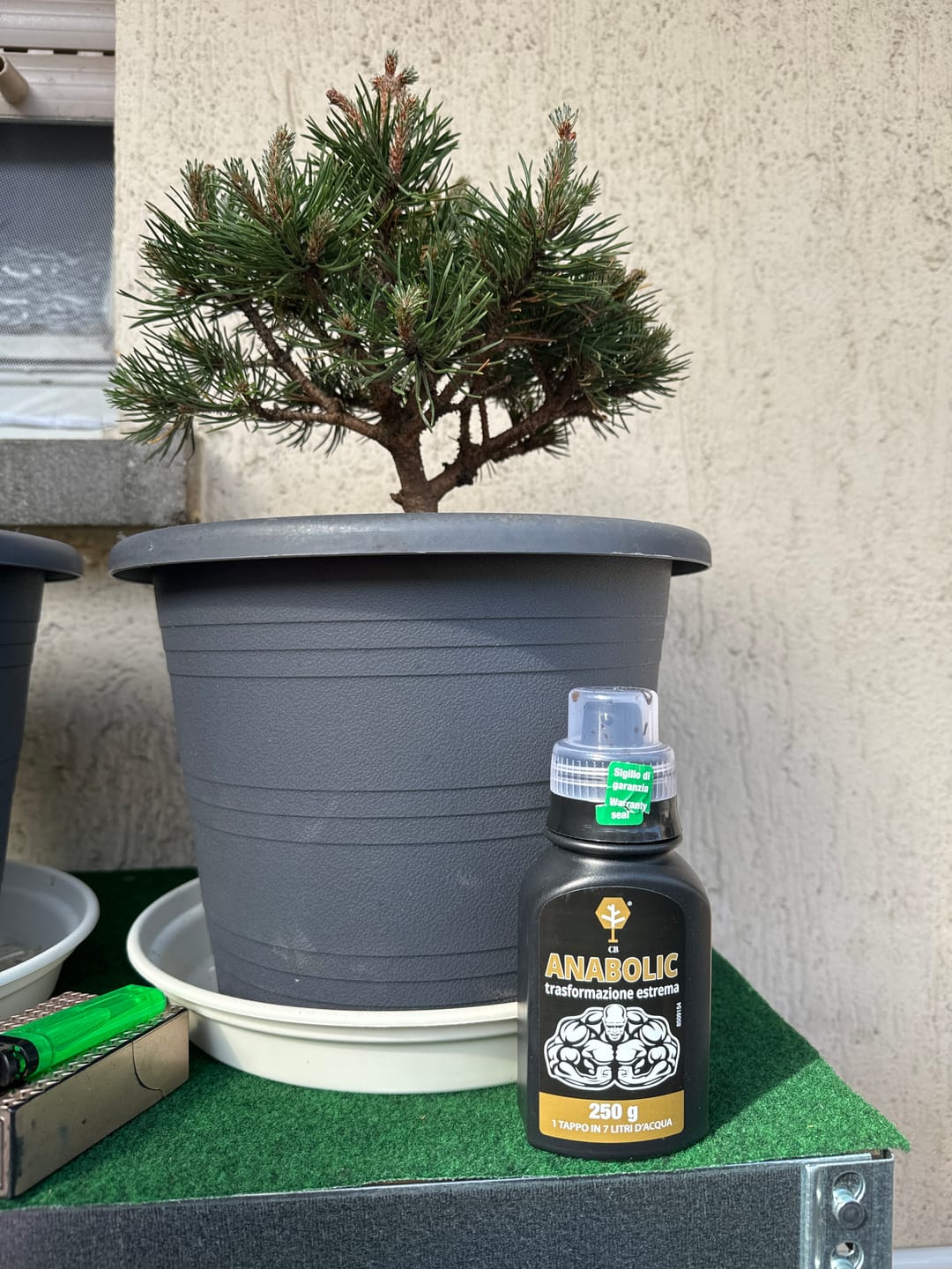 Customer photo review of ANABOLIC CB® (Trasformazione Estrema)
