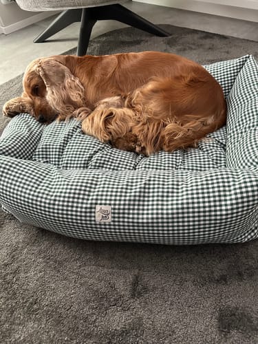 Customer photo review of Divanetto Vichy Verde Scuro