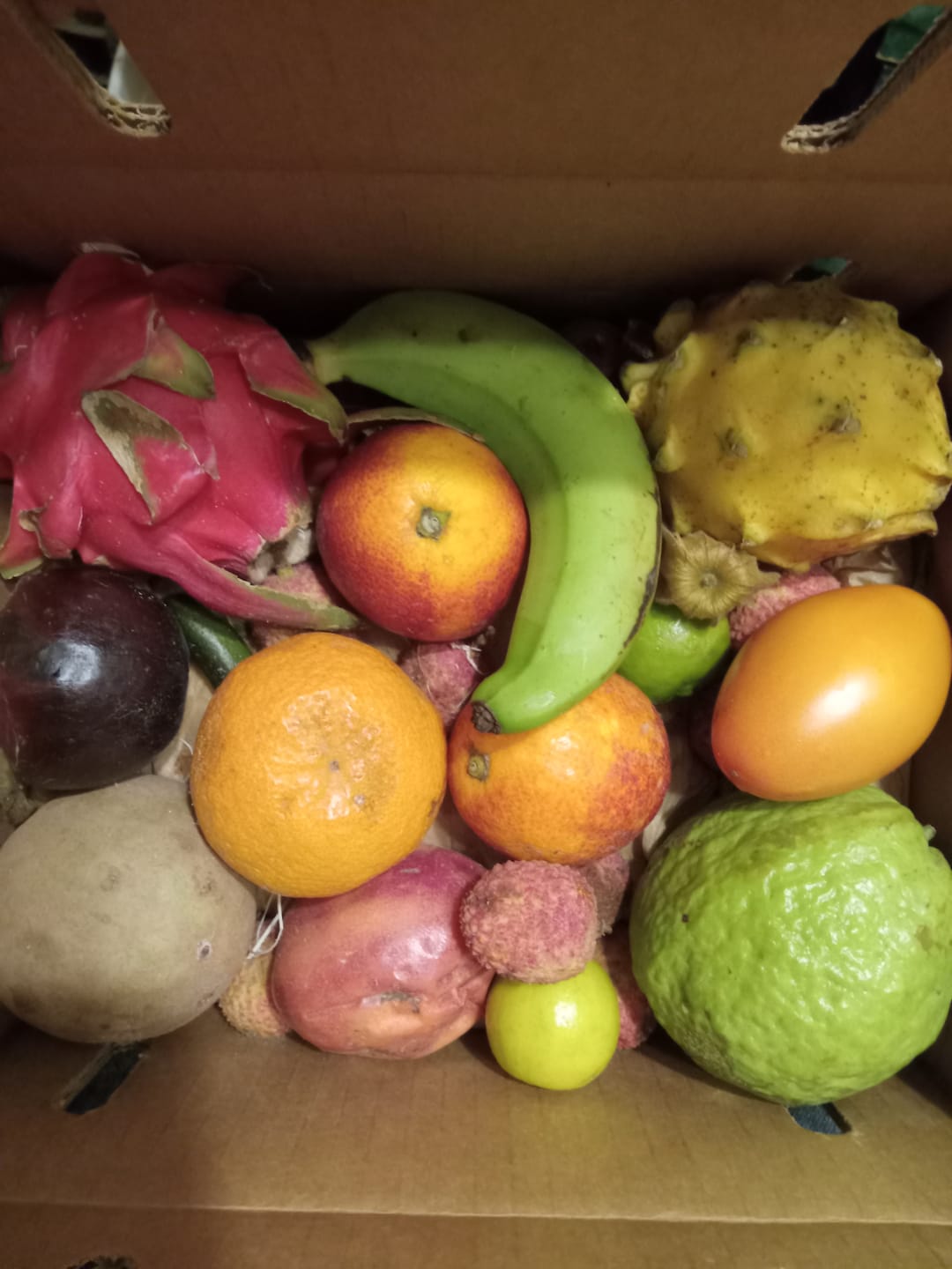 Customer photo review of Leftovers Box