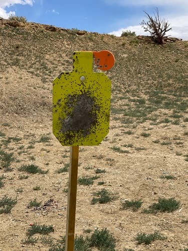 Customer photo review of Double T-Shaped Base Stand + Mounting Kit + 12" X 20" Hostage Target