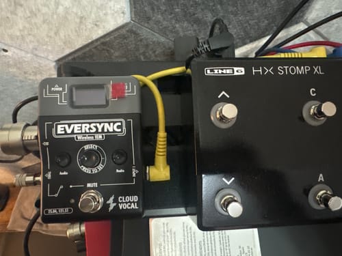 Customer photo review of EverSync Wireless IEM