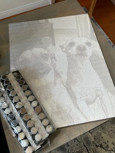 Customer photo review of Custom Paint by Numbers Kit