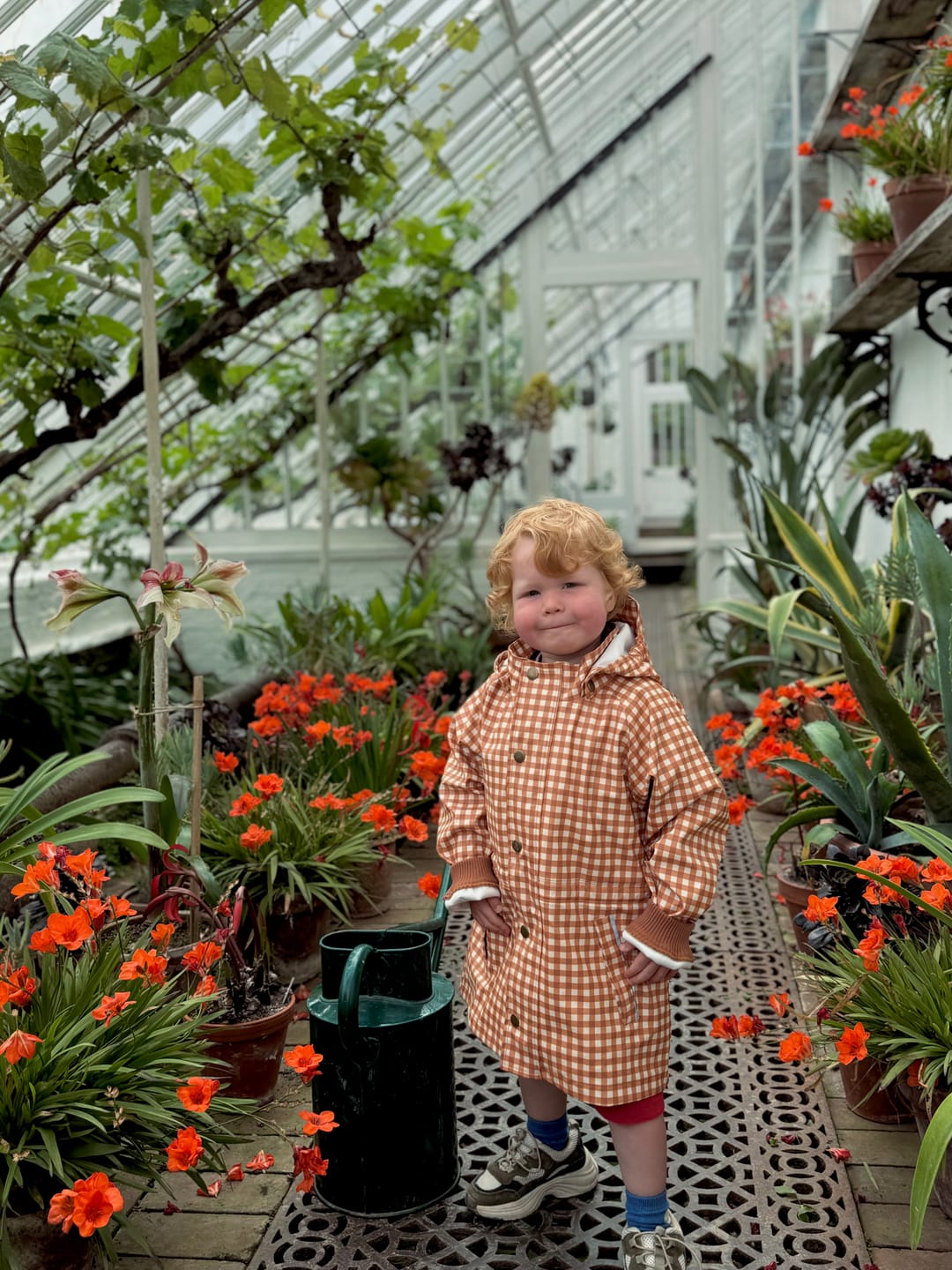 Customer photo review of Fishtail Raincoat - Sienna Gingham