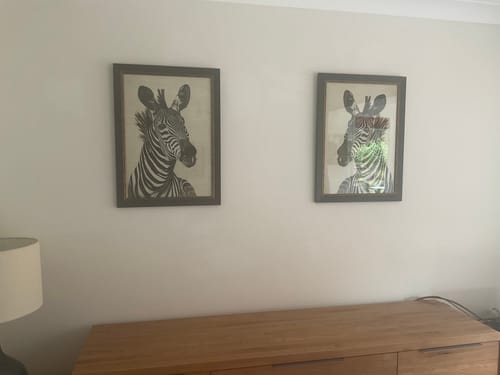 Customer photo review of ZEBRA ILUSTRATION