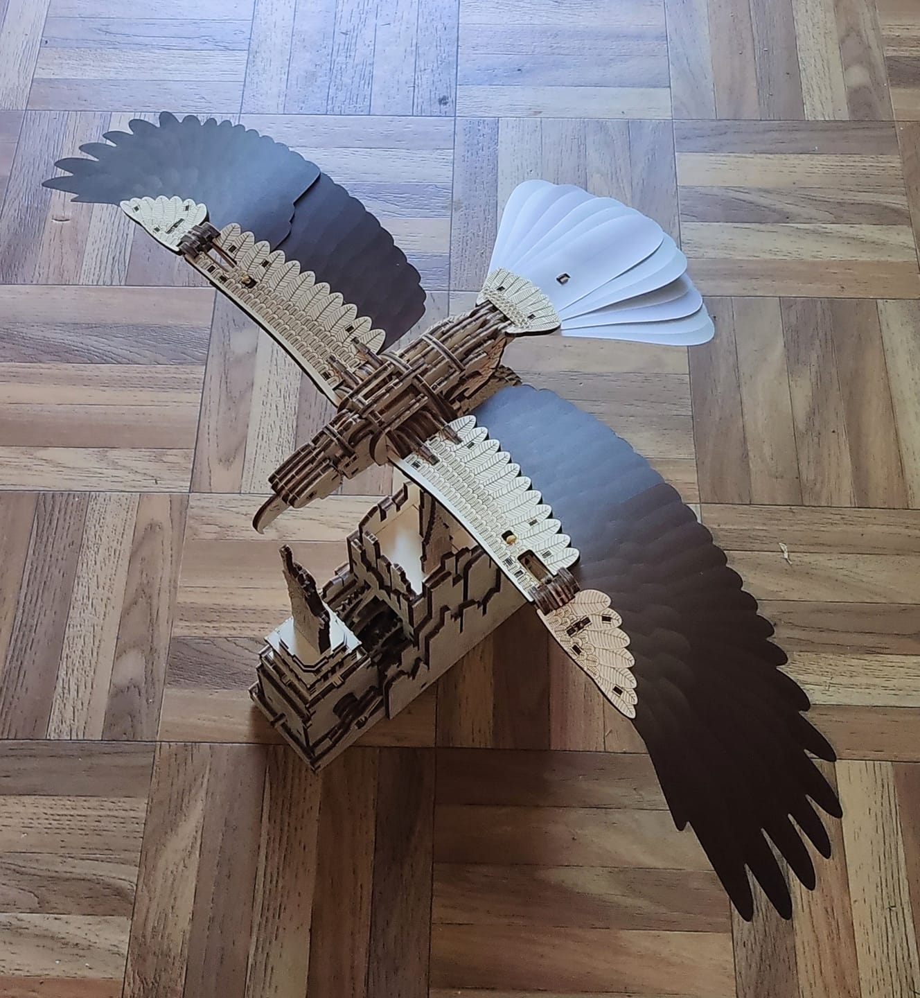 Customer photo review of Liberty Eagle