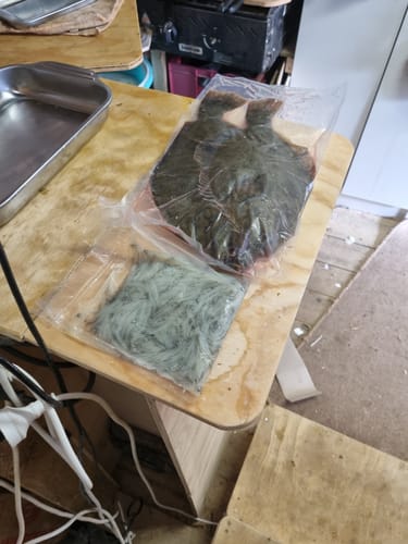 Customer photo review of Fresh Sand Flounder Whole