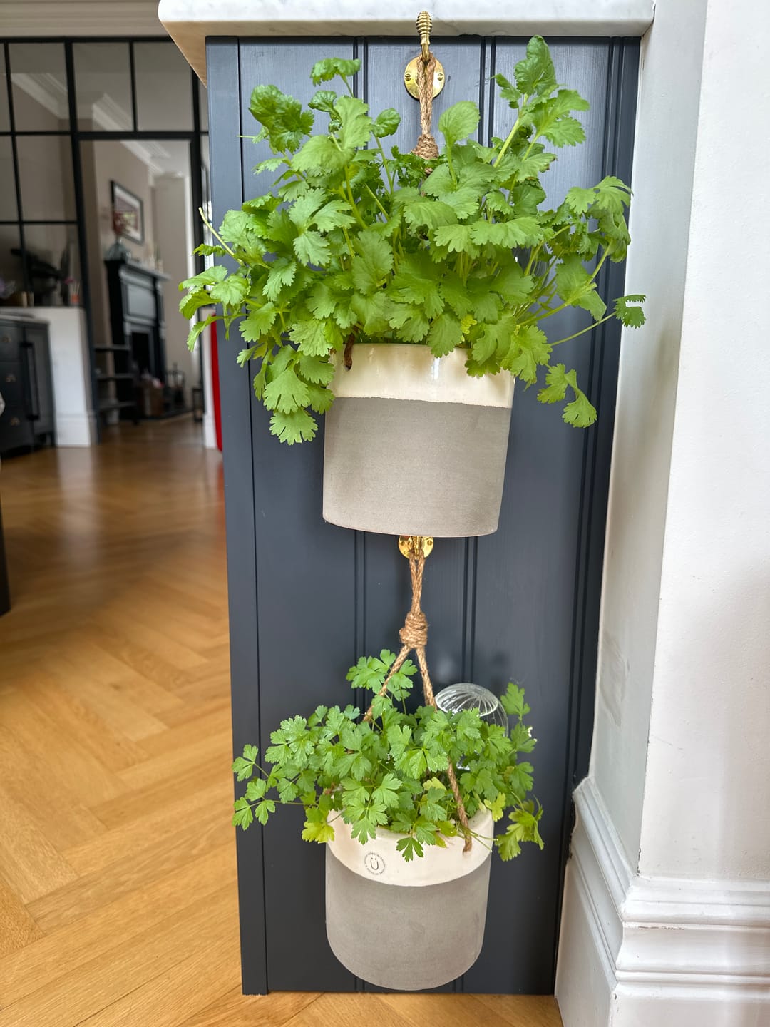 Customer photo review of Brass Beehive Coat Hook