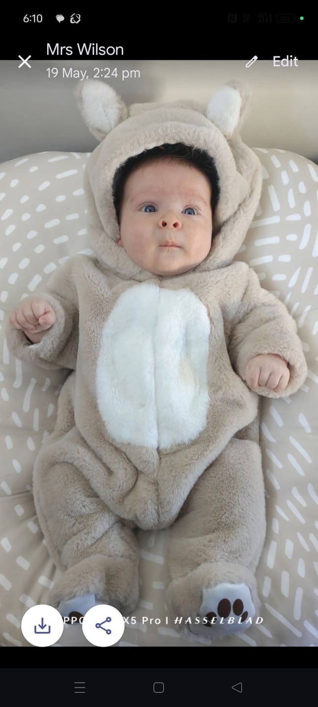 Customer photo review of Cushii Lounger Wanderlust - Oatmilk