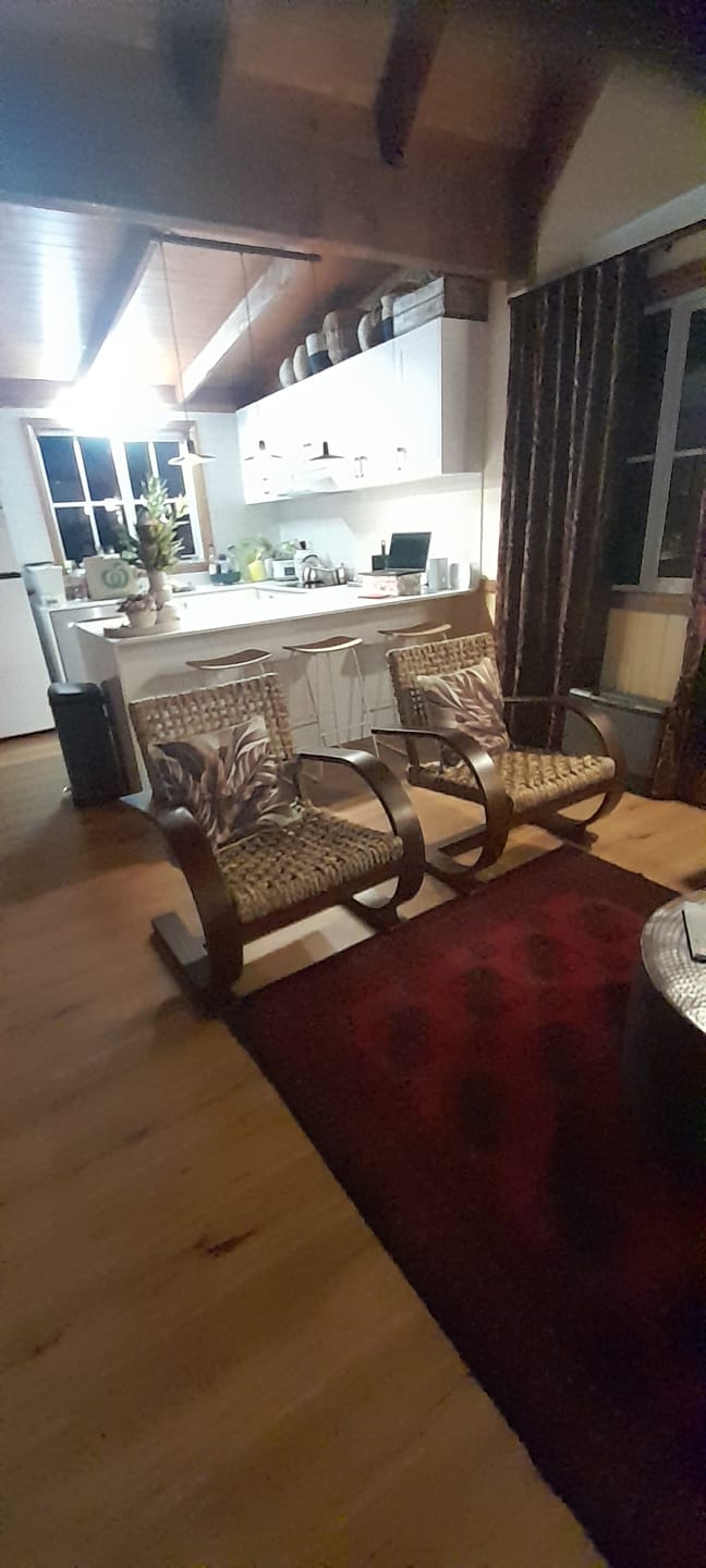 Customer photo review of French Modernist Armchair