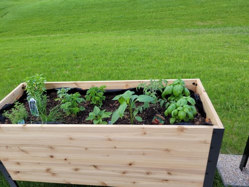Customer photo review of 18" x 48" Raised Garden Bed