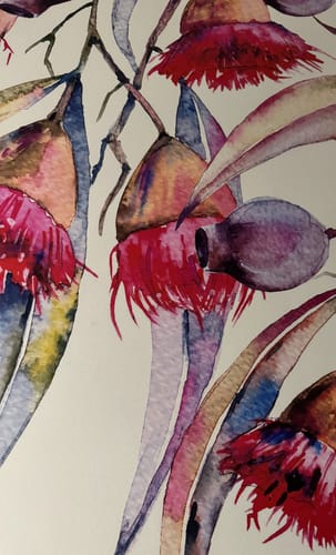 Customer photo review of A Perfect Native Garden - Australian Native Garden Watercolour Easy Wallpaper