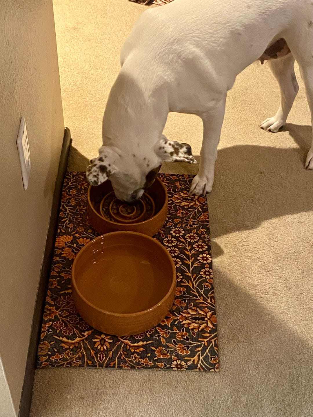 Customer photo review of Dog Bowl Mat, Nonslip, Machine Washable - Irene