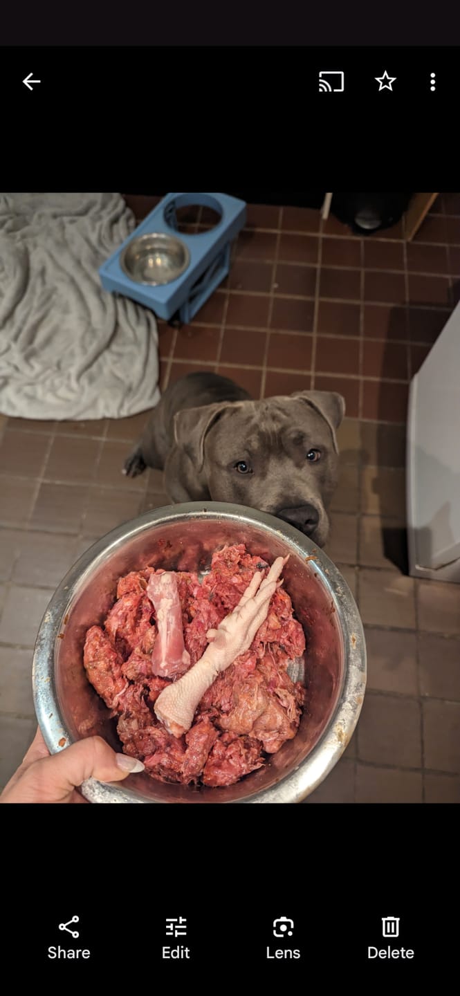 Customer photo review of Bone Broth for Dogs & Cats