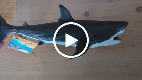 Customer video review of Collecta Megalodon (Deluxe with movable jaw)