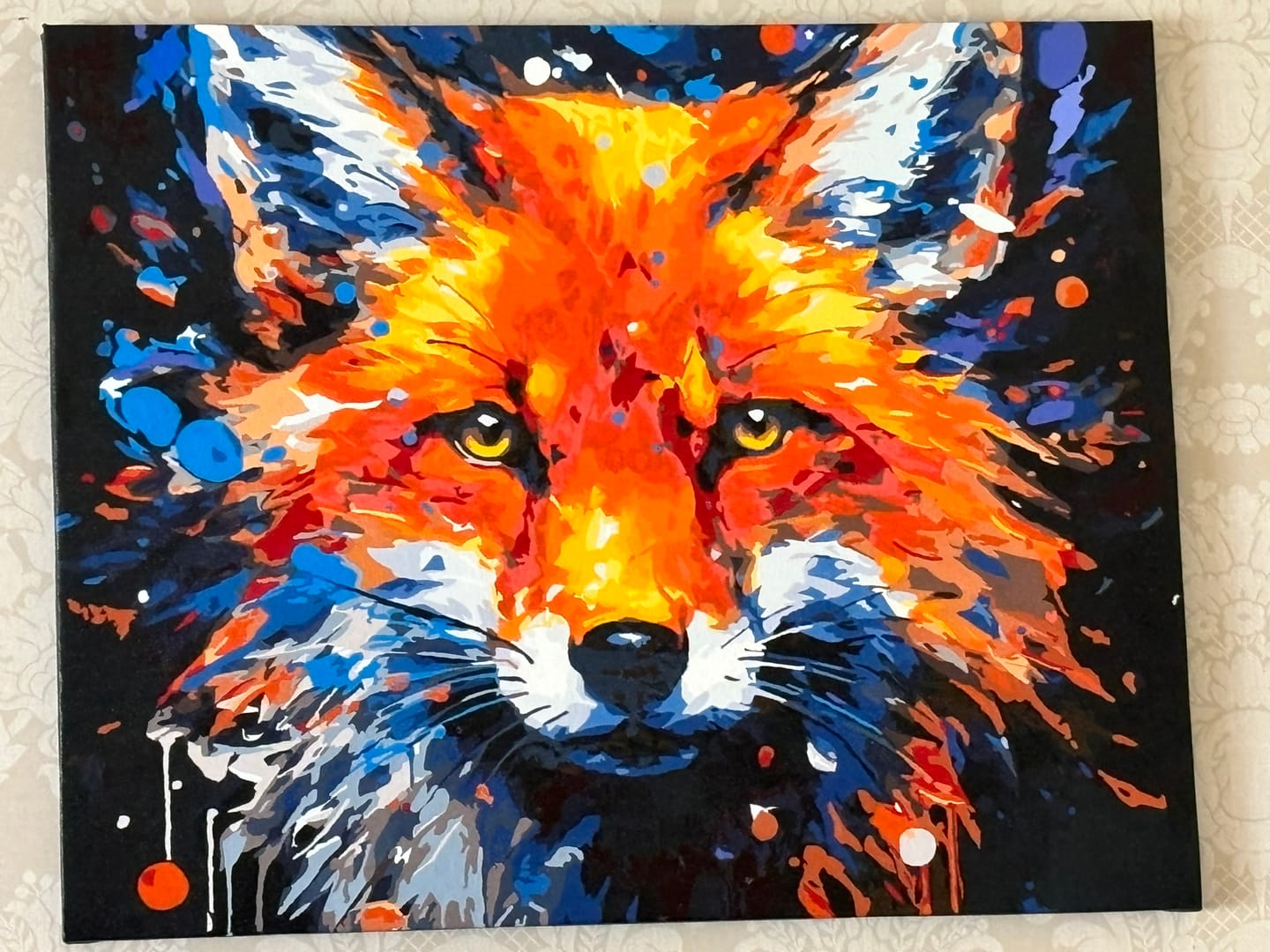 Customer photo review of Inquisitive Fox