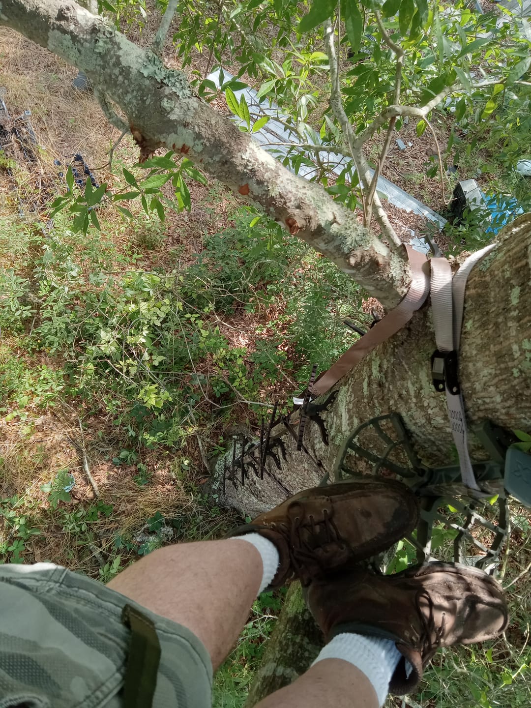 Customer photo review of 20" OB (NO HOLE) BEAST GEAR CLIMBING STICK