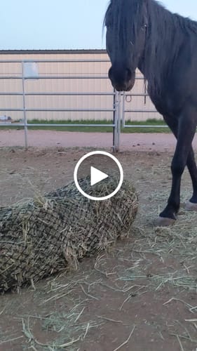 Customer video review of Hay Chix® 2-Strand Bale Net (Small Bale Net)