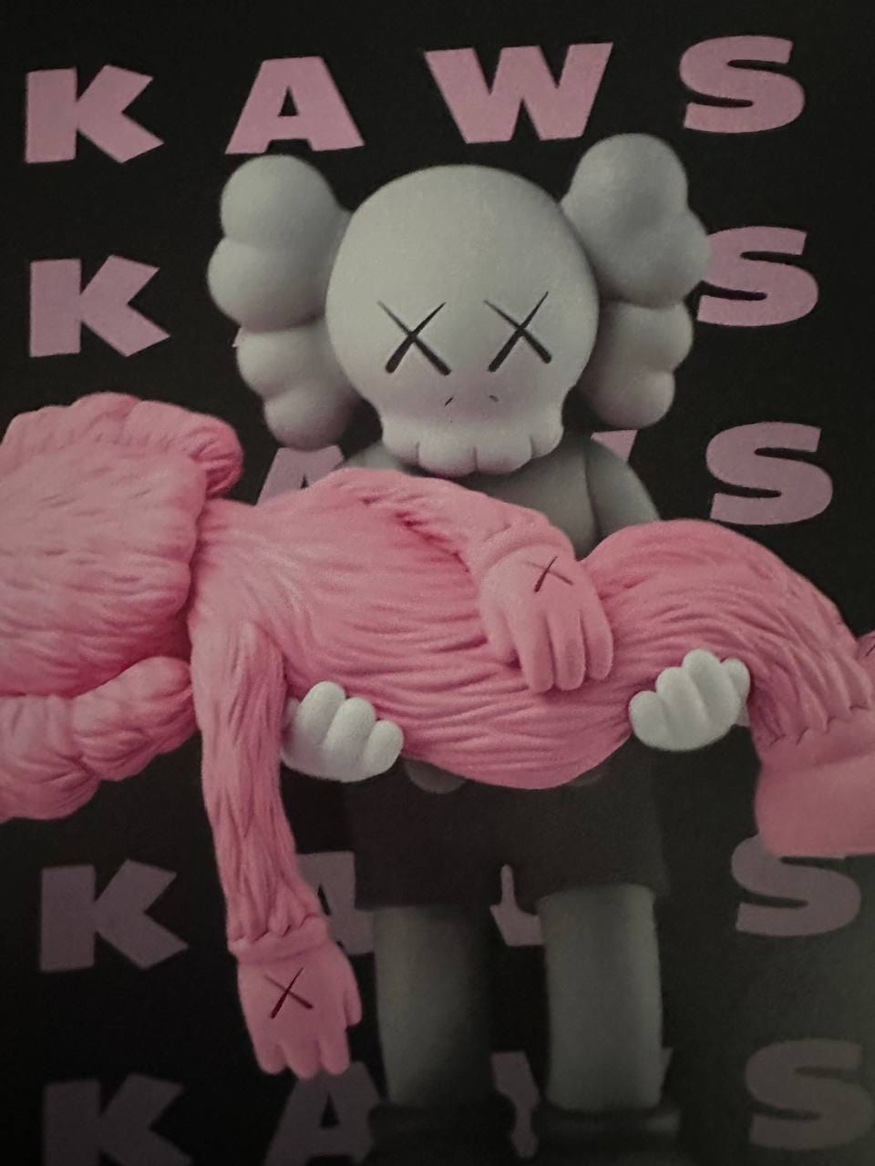 Customer photo review of Pink Kaws - Death - Poster