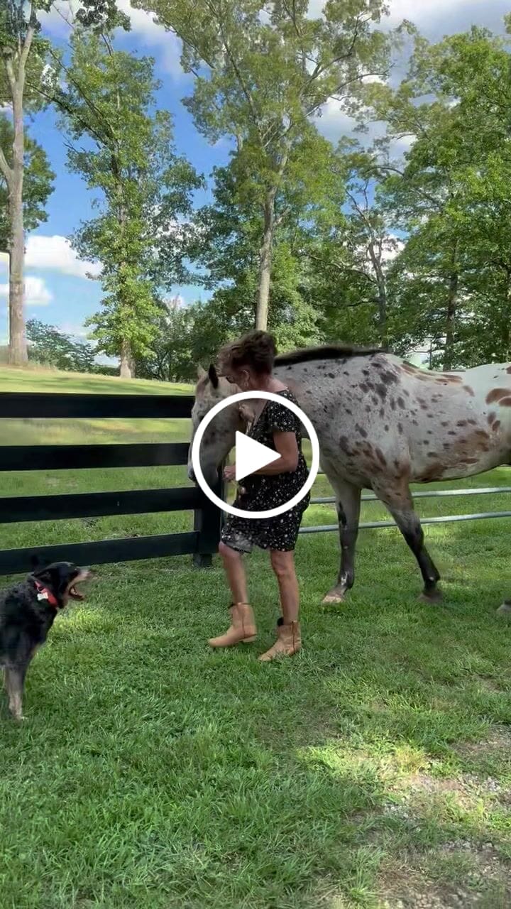 Video from Charlyn W.