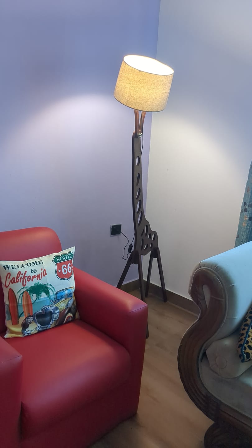Customer photo review of Designer Long Wall Mirror- Set of 3