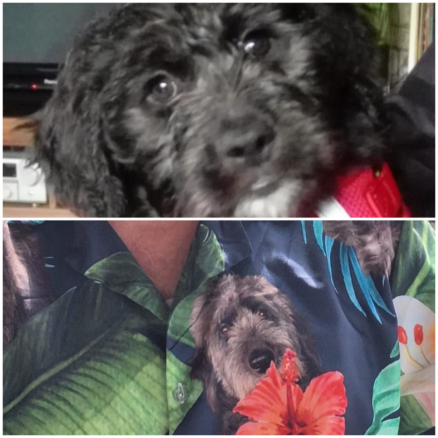 Customer photo review of Dein Foto - Individuelles Hawaiihemd