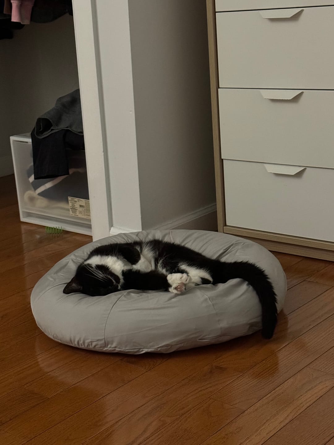 Customer photo review of Earl Grey Pudding Bed