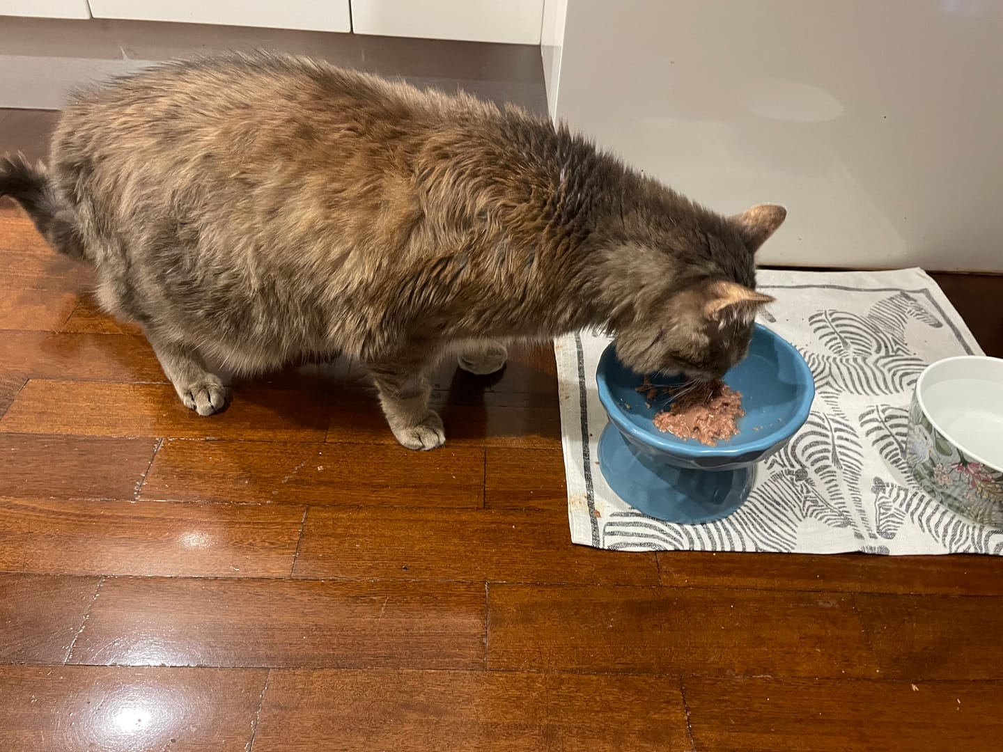 Customer photo review of Tilting Ceramic Cat Bowls With Uneven Texture