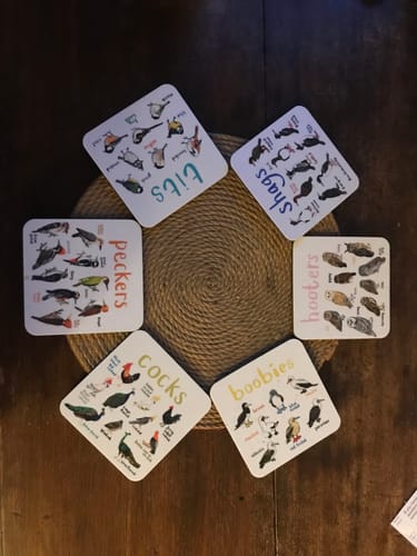 Customer photo review of Set of 6 Bird Pun Coasters