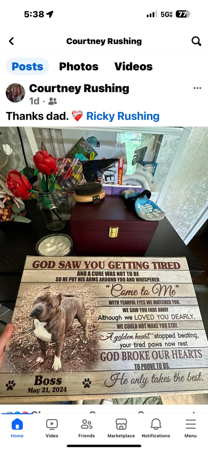 Customer photo review of Personalized Photo Canvas Prints, Dog Loss Gifts, Pet Memorial Gifts, Dog Sympathy, God Saw You Getting Tired Dem Canvas