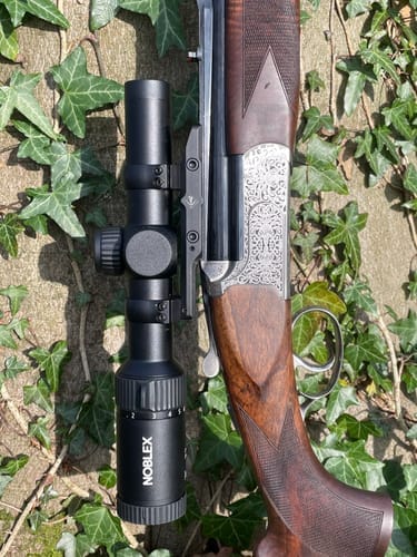 Customer photo review of NZ6 1-6x24 inception