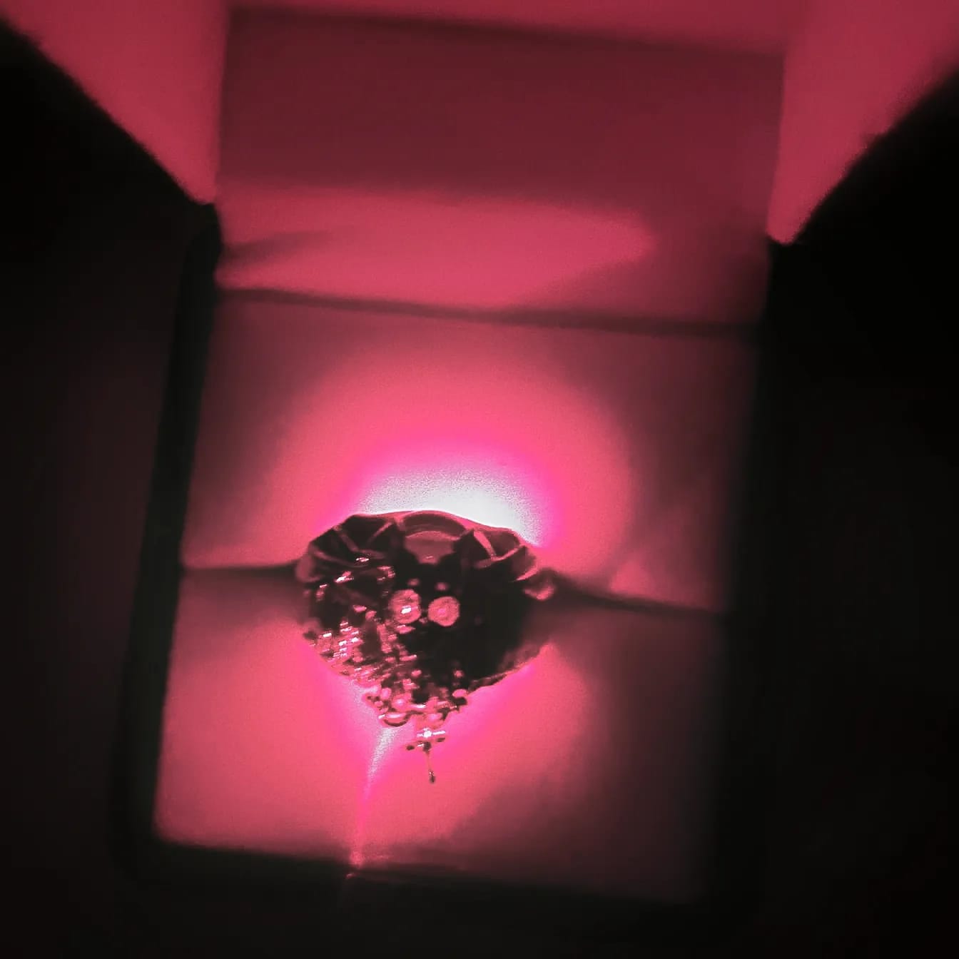 Customer photo review of DAISY THE DAYSTALKER RING