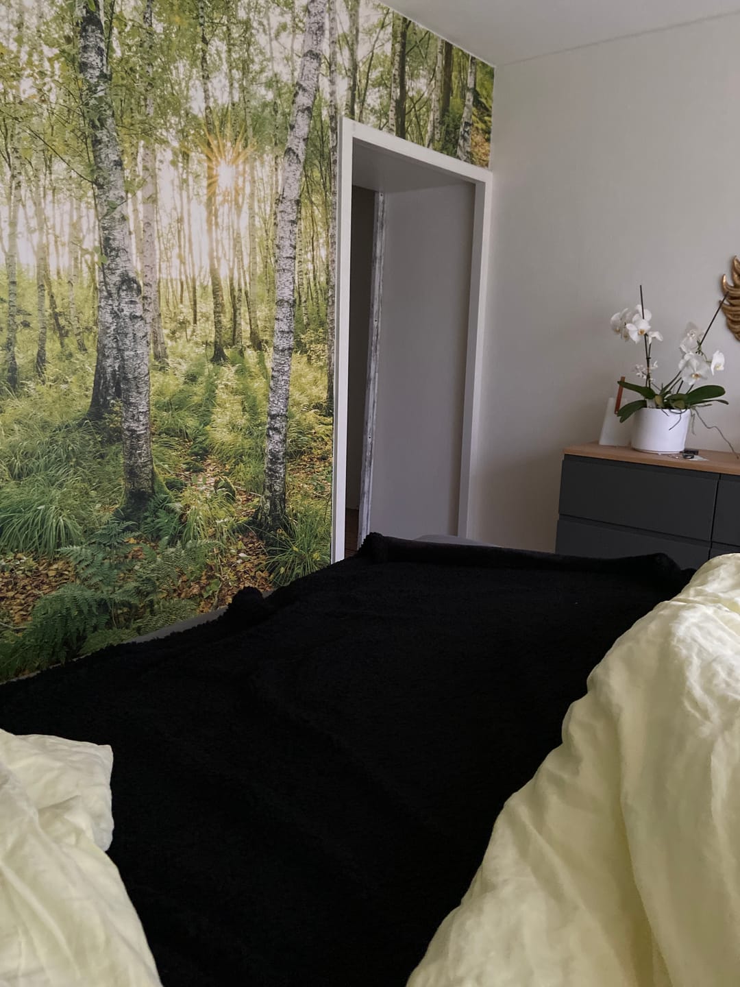 Customer photo review of Liebesdecke™ - Die Wasserdichte Kuscheldecke