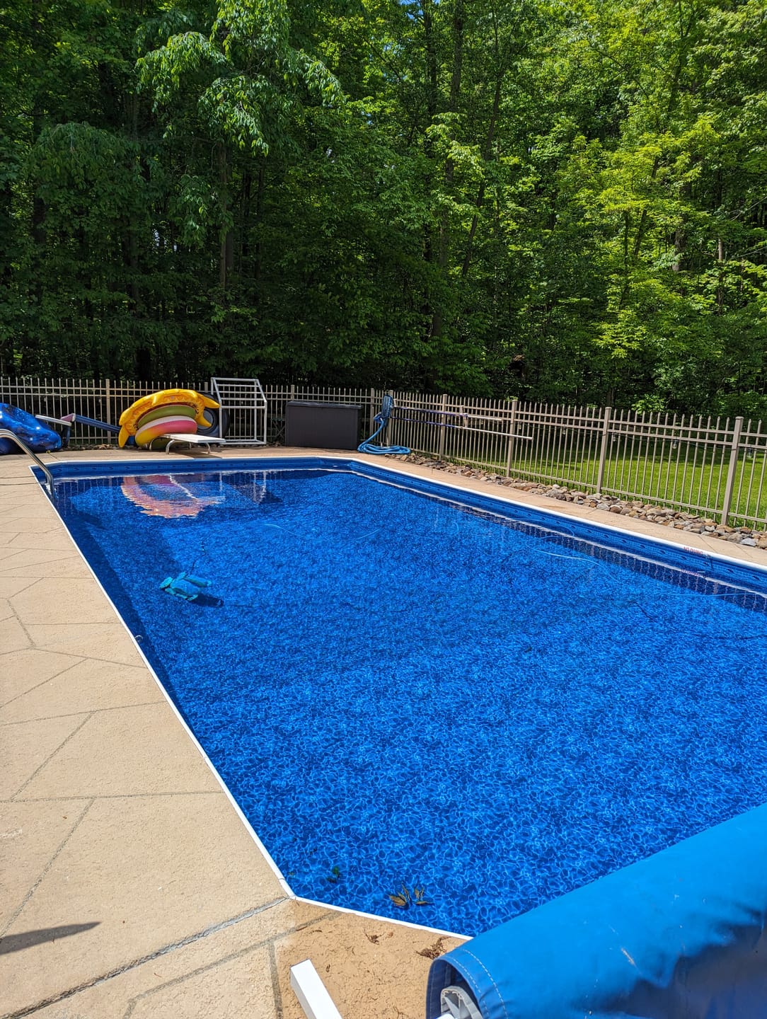Customer photo review of Ships Next Day New Maytronics Dolphin M600 Robotic Pool Cleaner