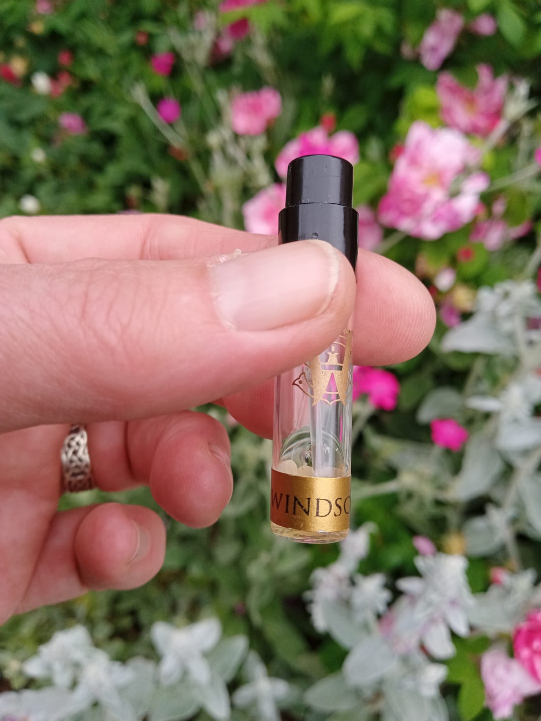 Customer photo review of Windsong